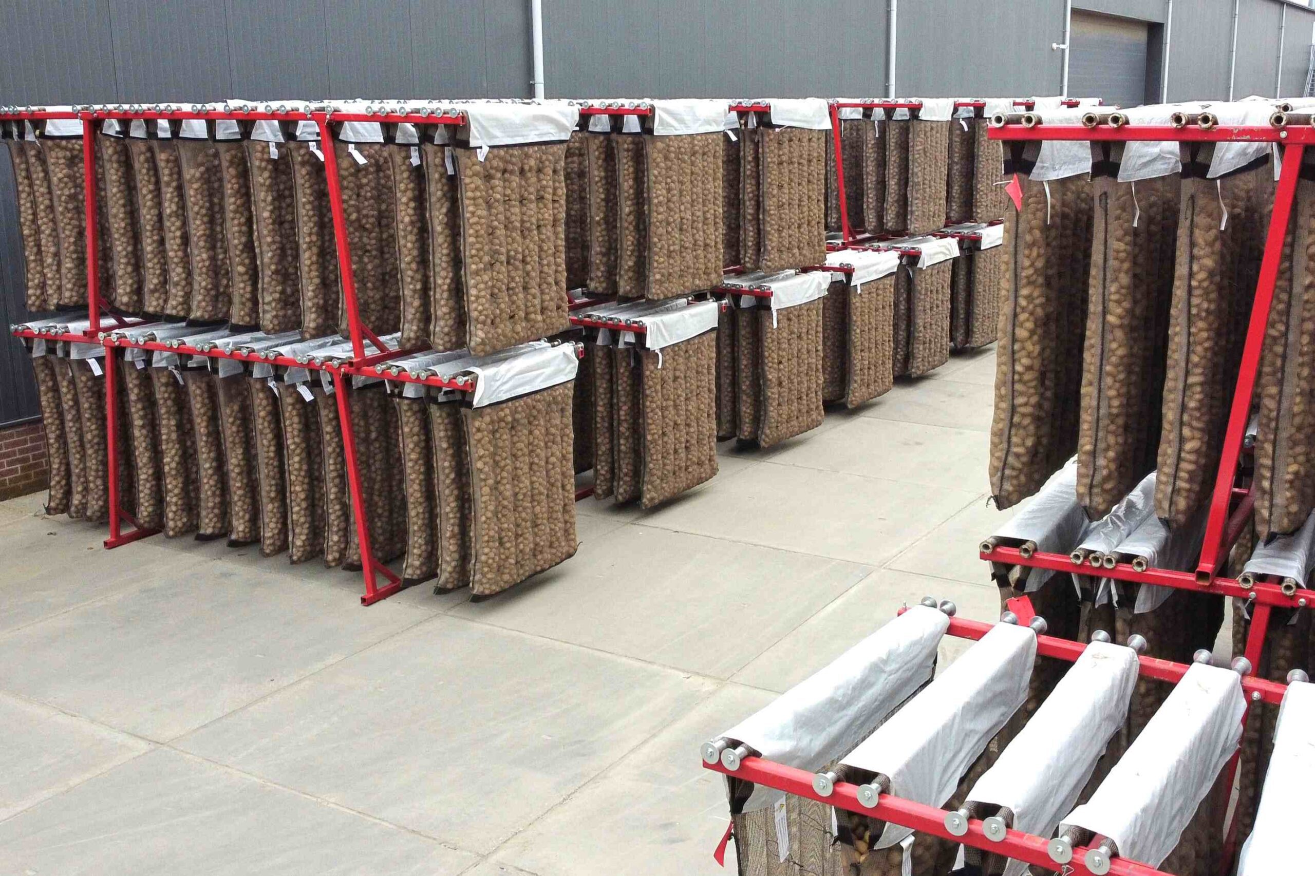 Joppe-Pregerm-voorkiemen-vorkeimen-presprouting-chitting-2-hoog-b