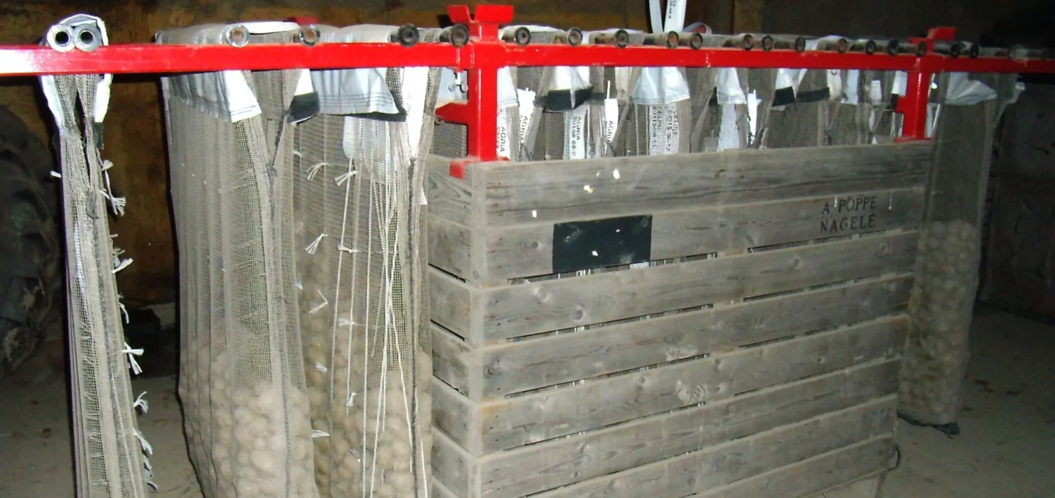 PB3 en PB4 in voorkiemzakken